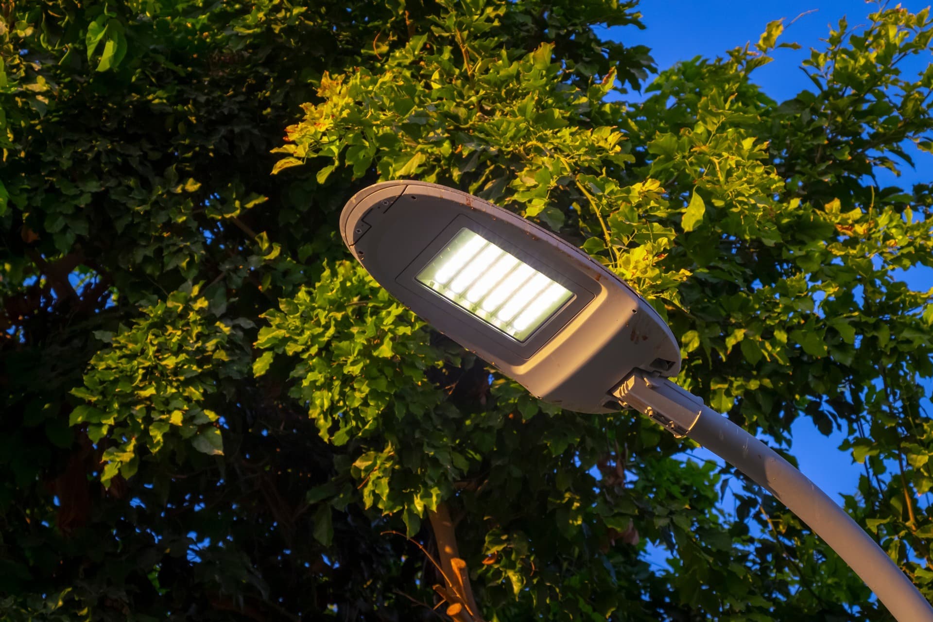 Pida presupuesto para la iluminación de su municipio
